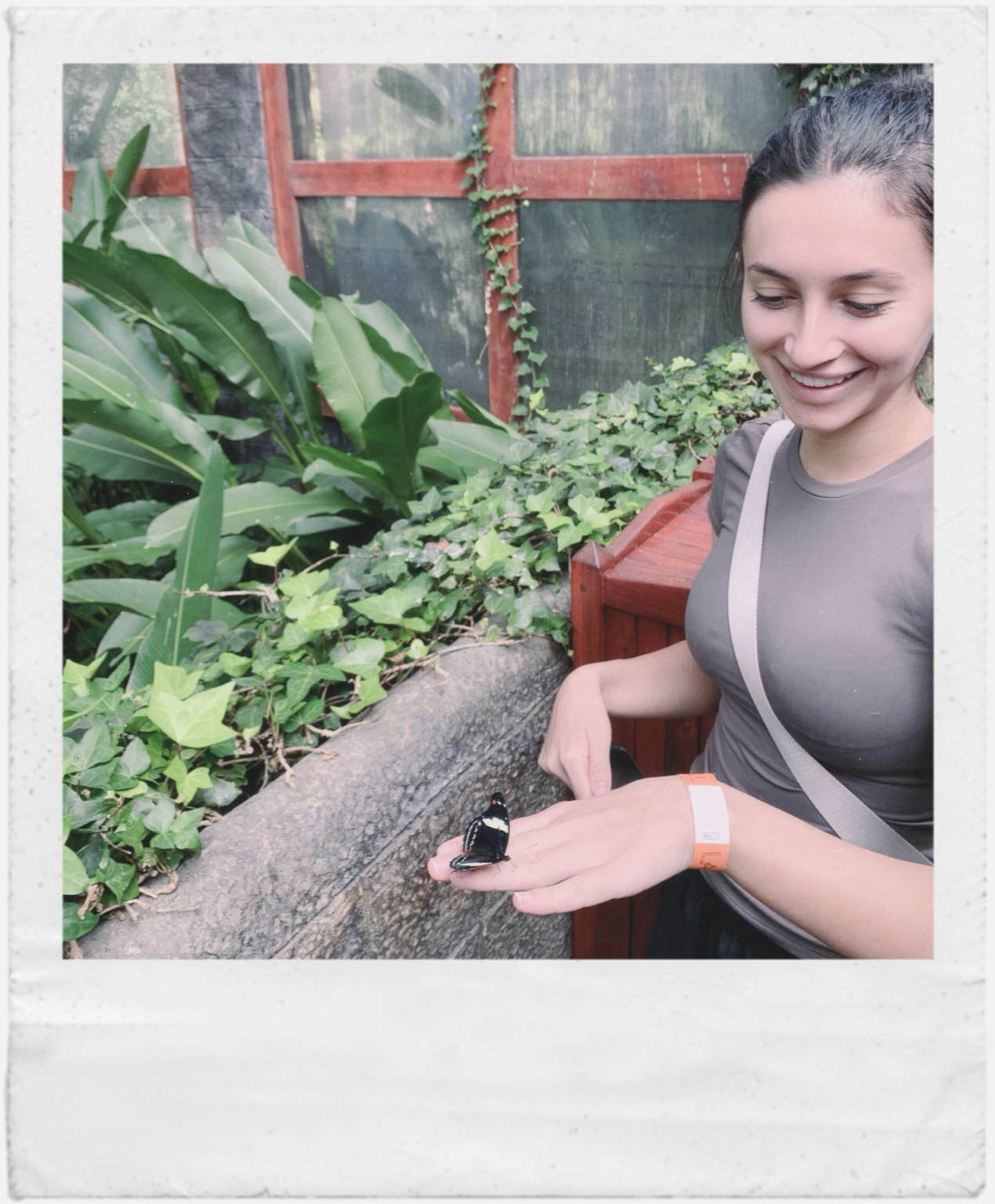 Butterfly resting on Natasha's hand