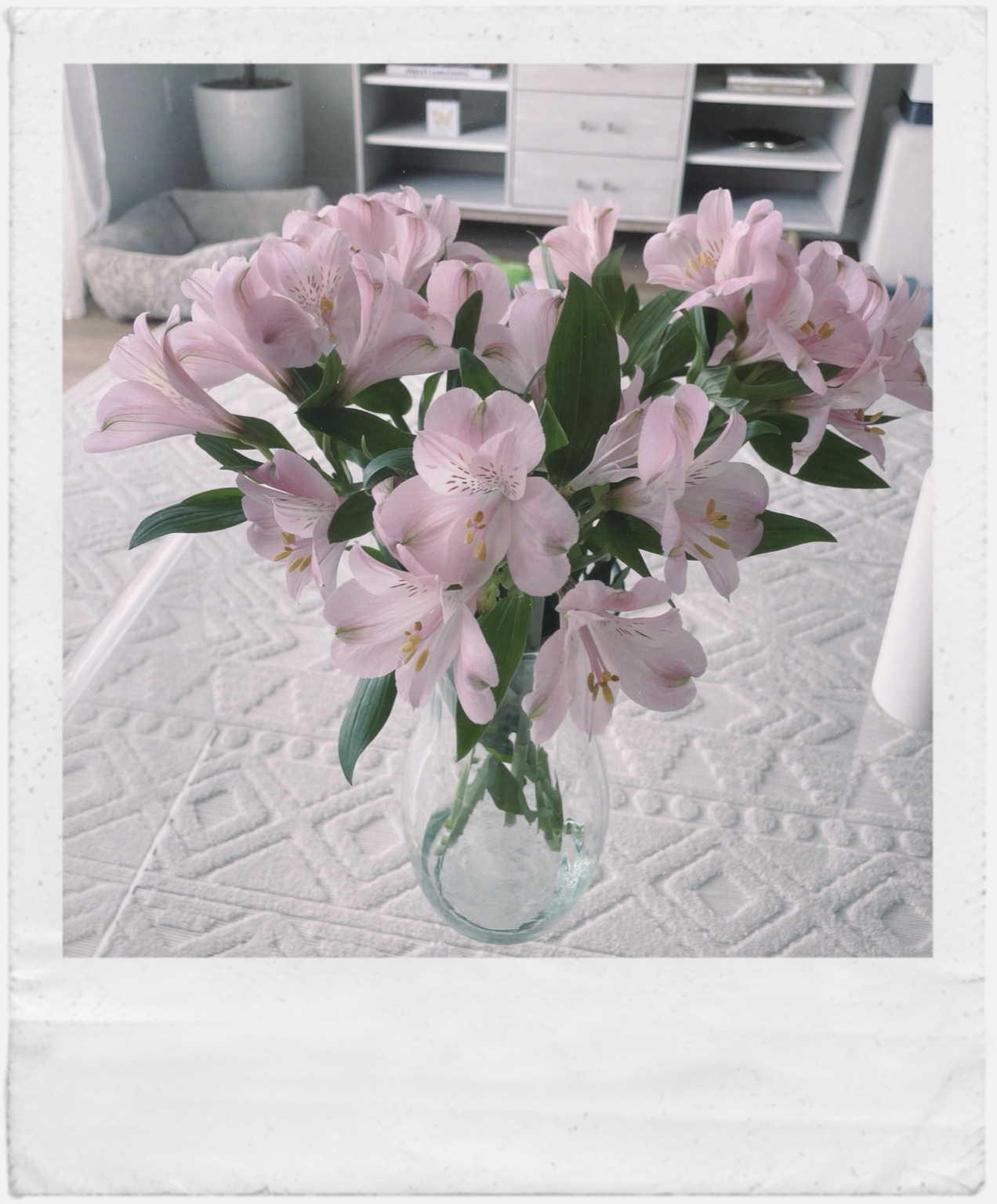 Pink flowers in a glass vase